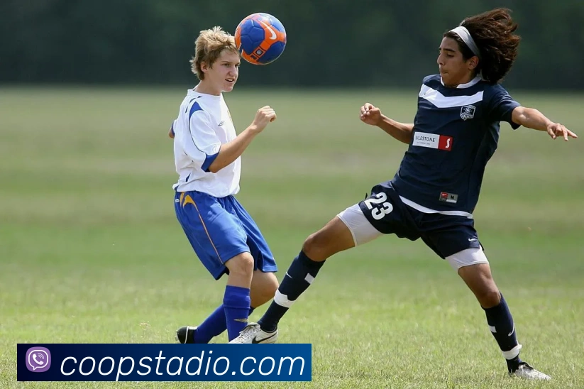 奖项证书